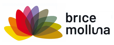 logo bm 2